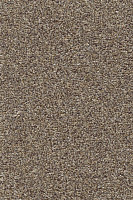 Ковролин AW Stainguard Harvest 44 фото 1 | FLOORDEALER